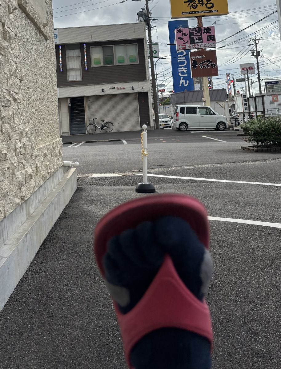 走行画像