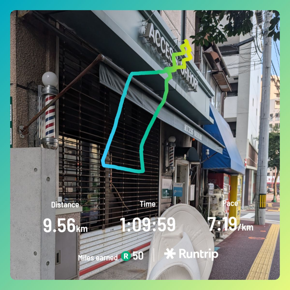 走行画像