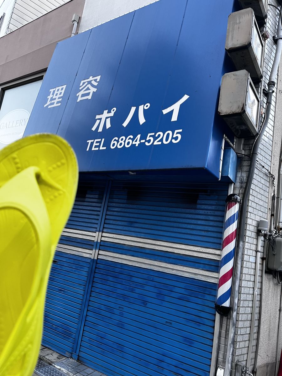 走行画像