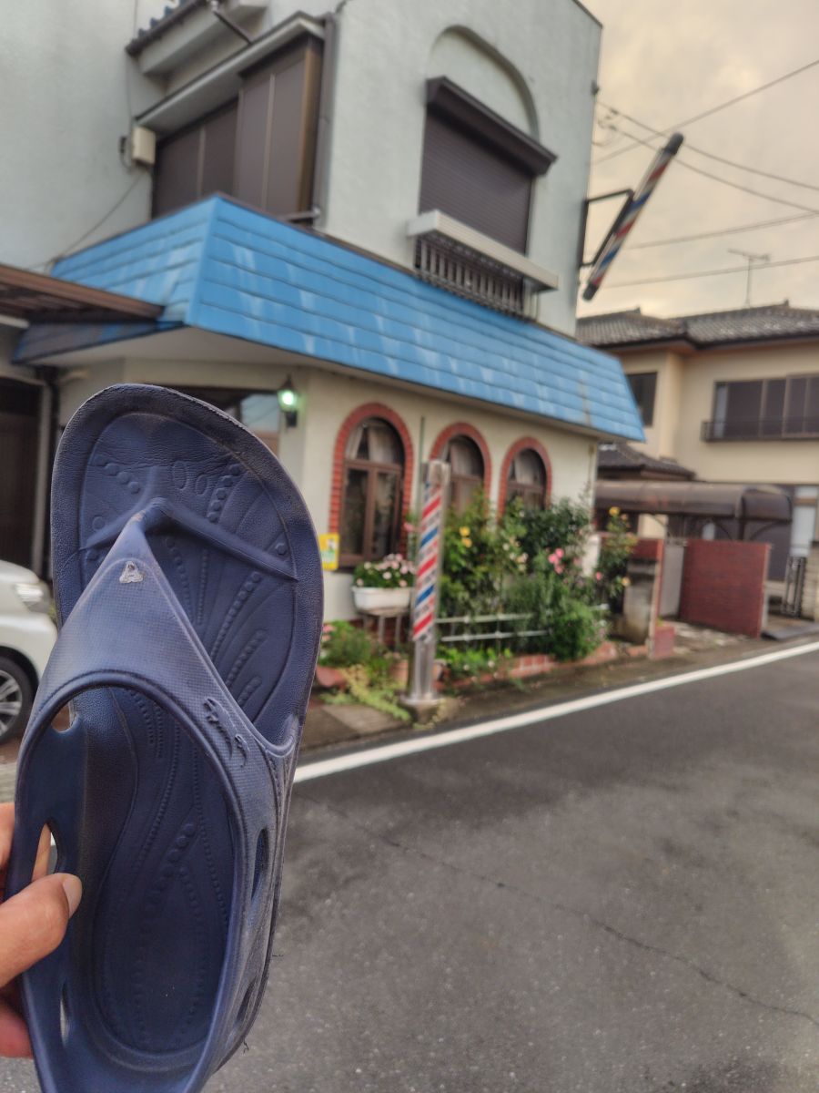 走行画像