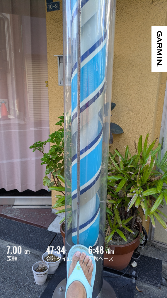走行画像