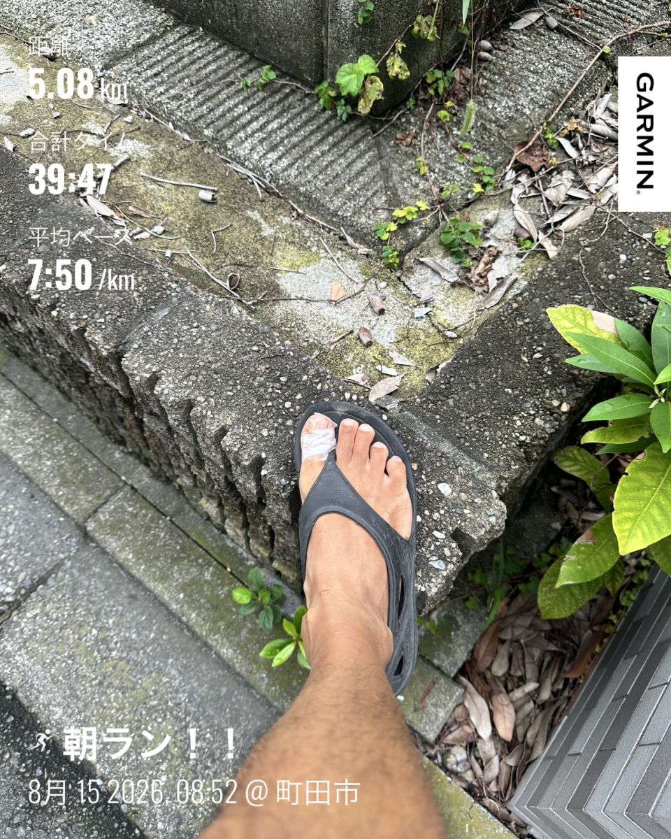 走行画像