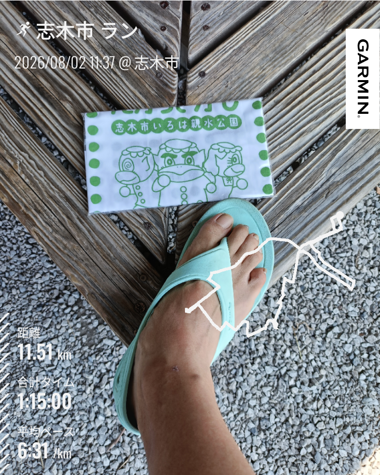 走行画像