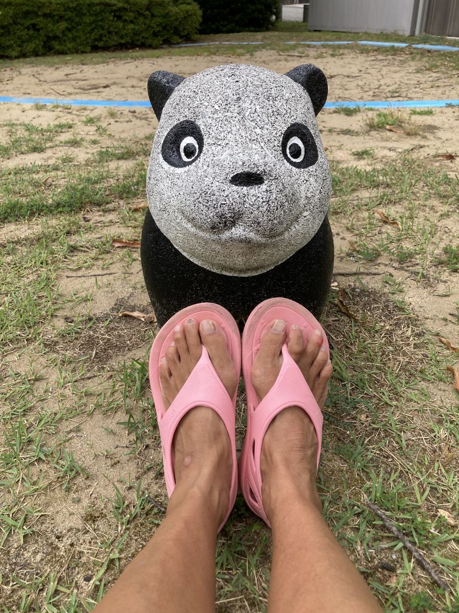 走行画像