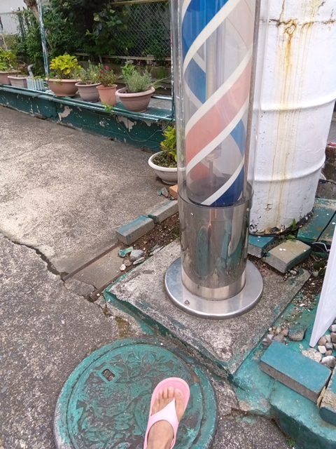 走行画像