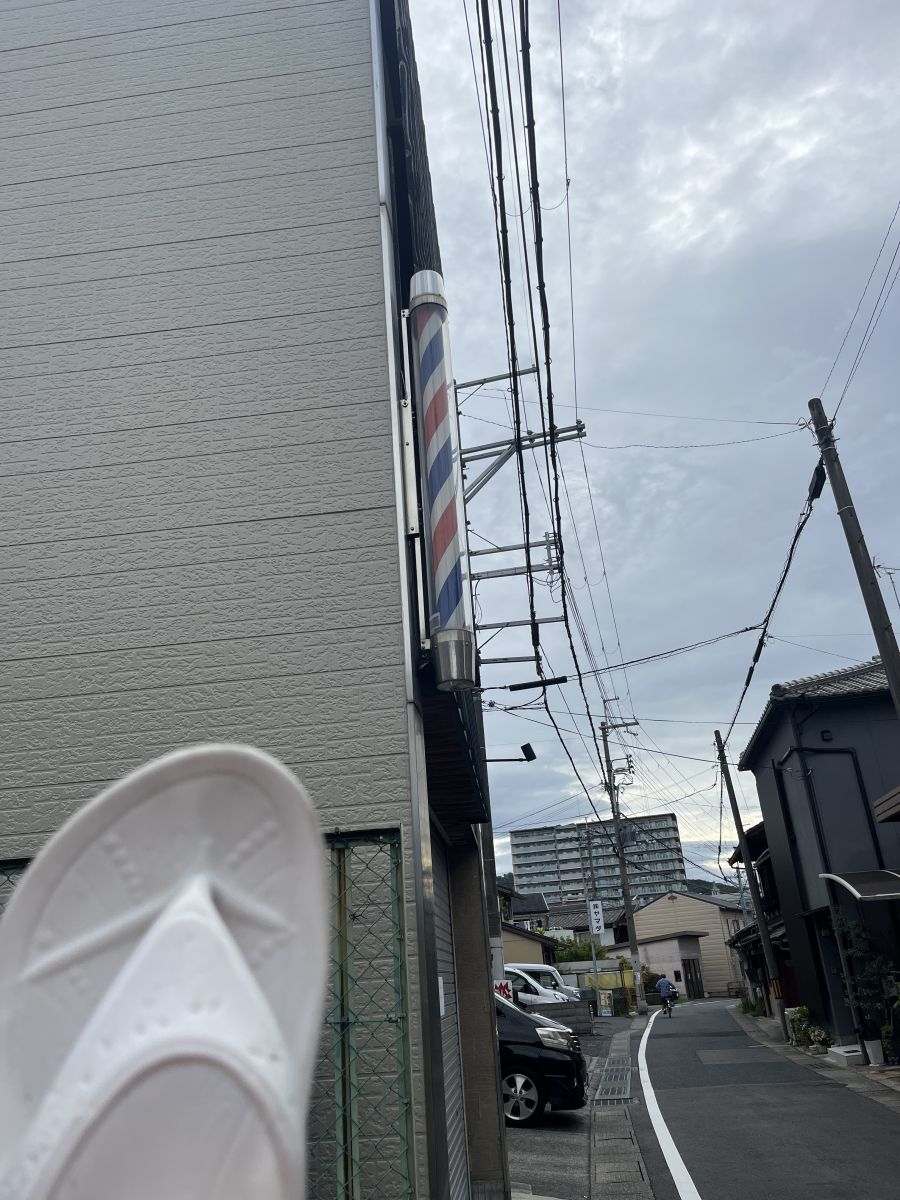 走行画像