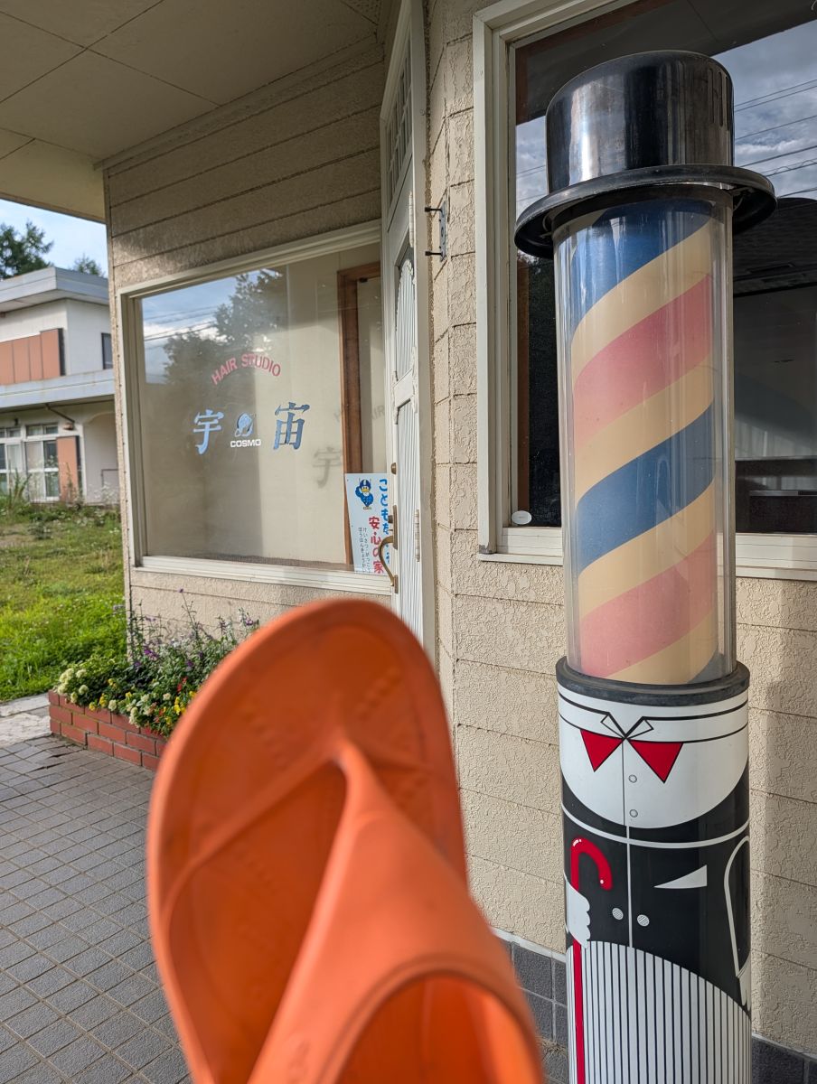走行画像
