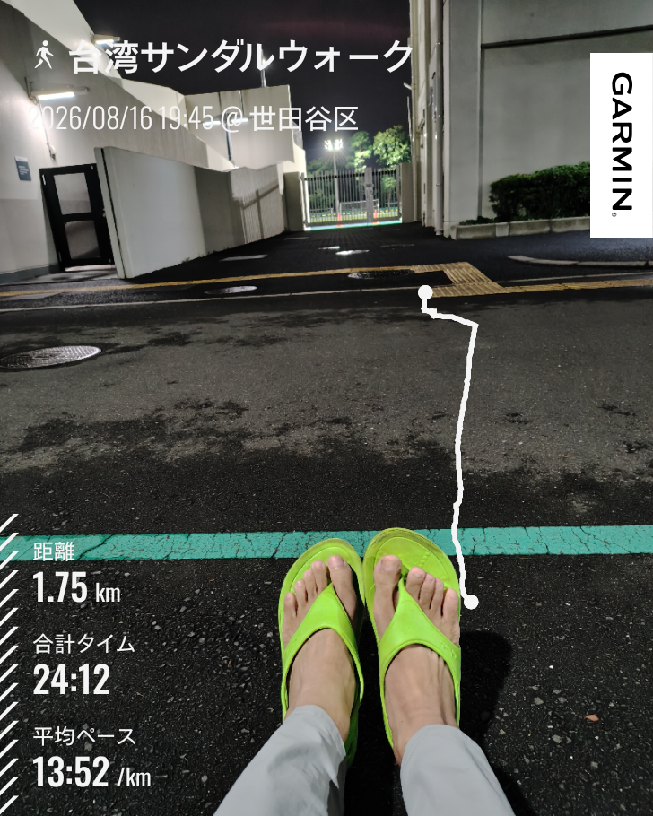 走行画像