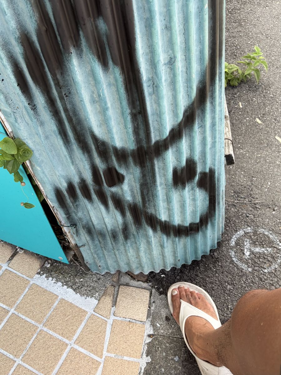 走行画像