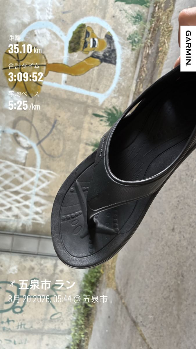 走行画像