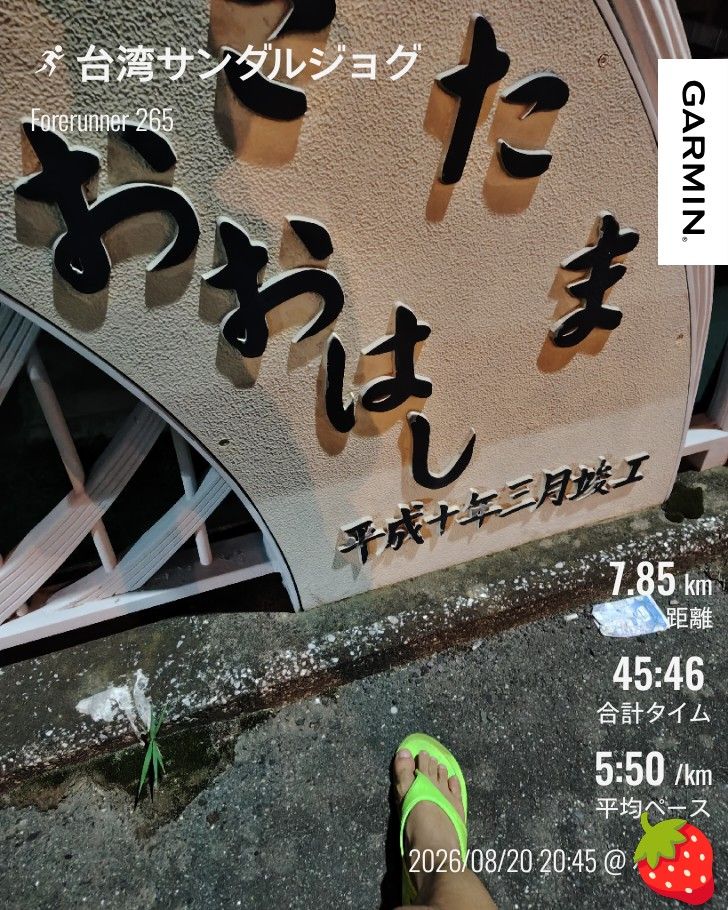 走行画像