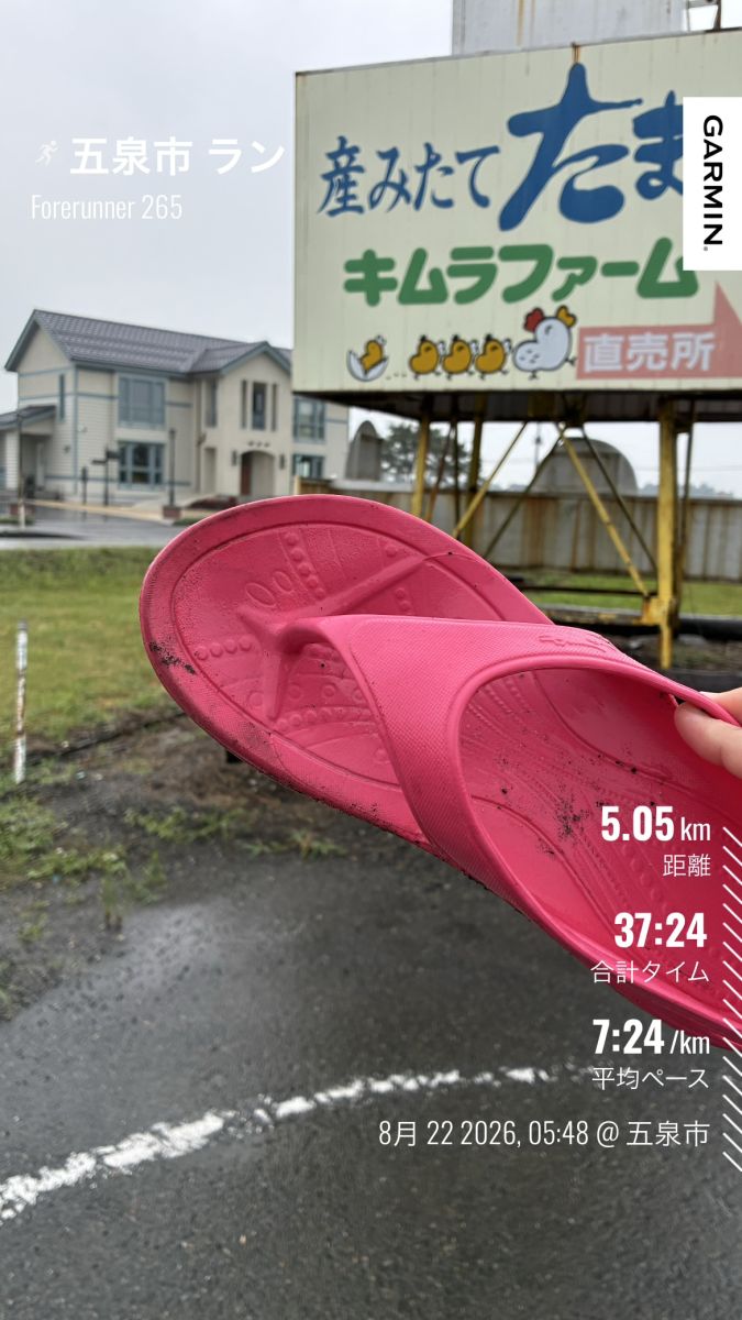 走行画像