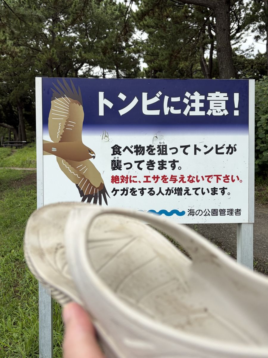 走行画像