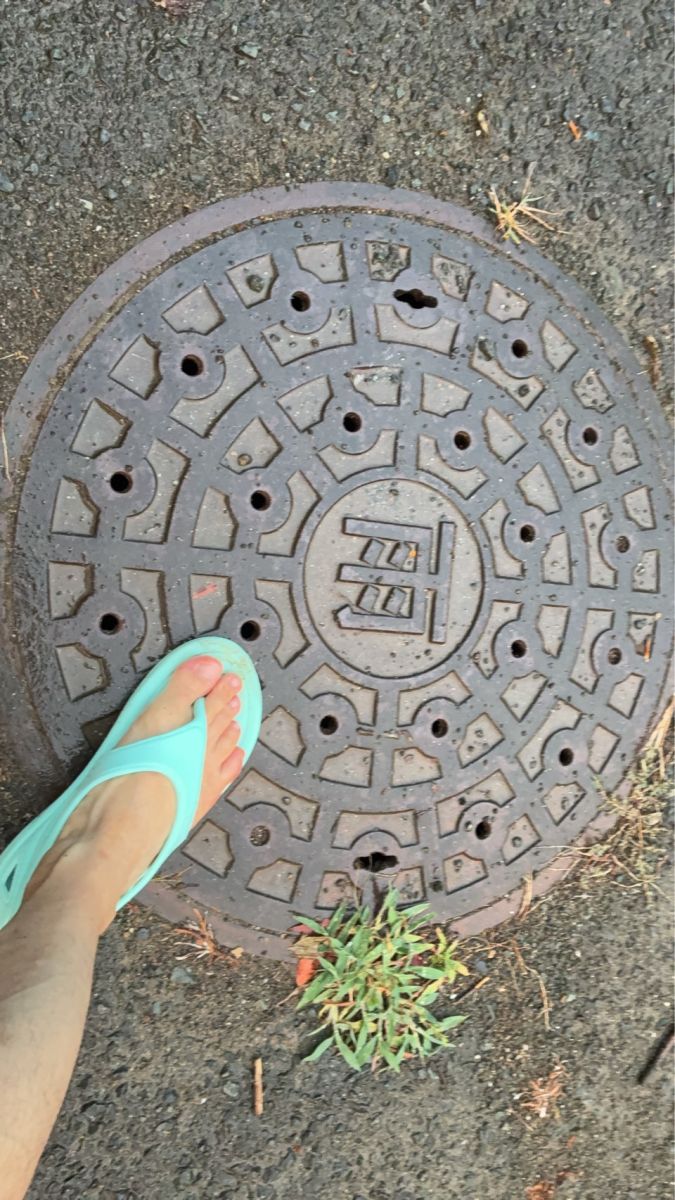走行画像