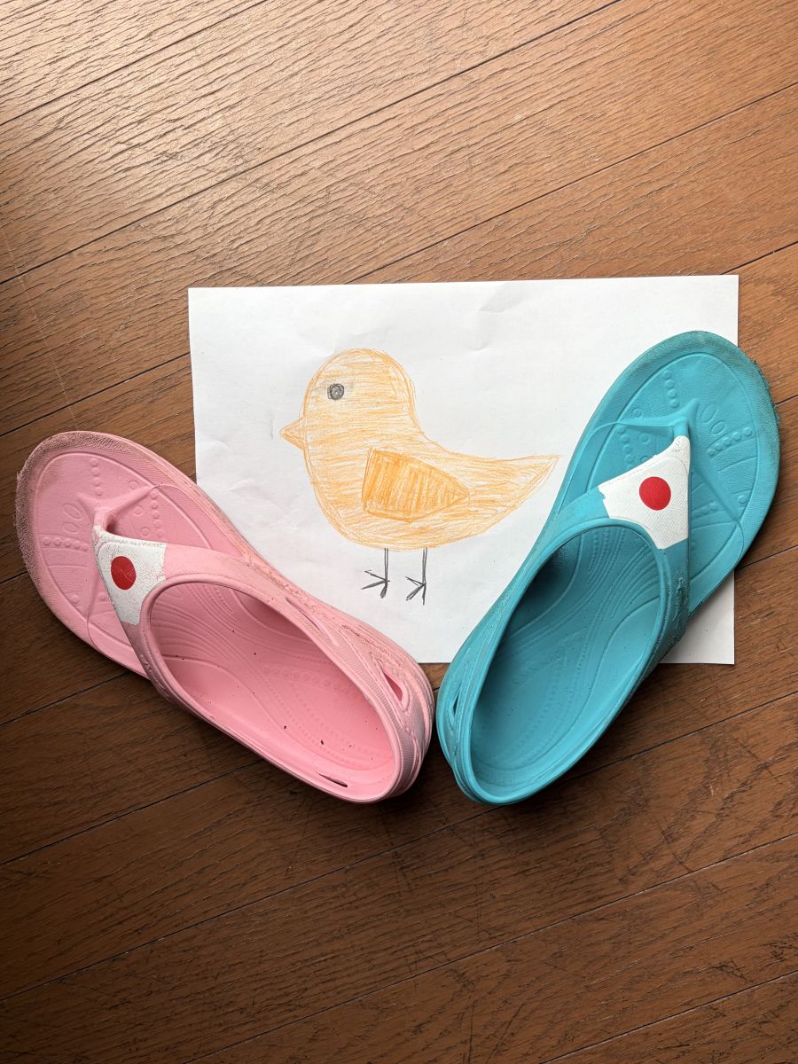 走行画像