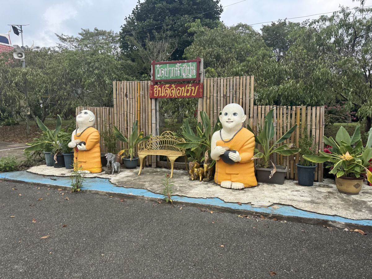 走行画像