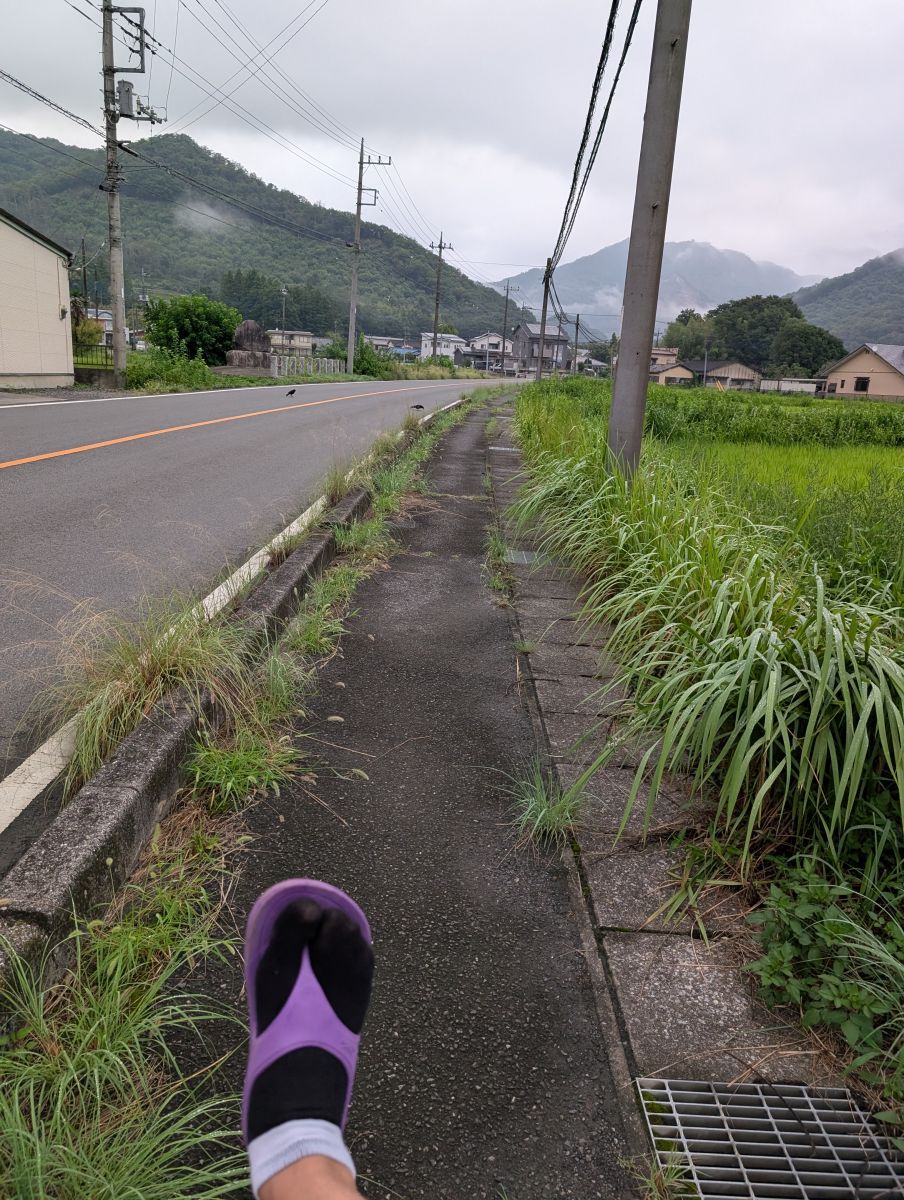 走行画像