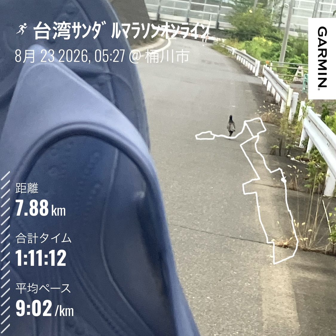 走行画像
