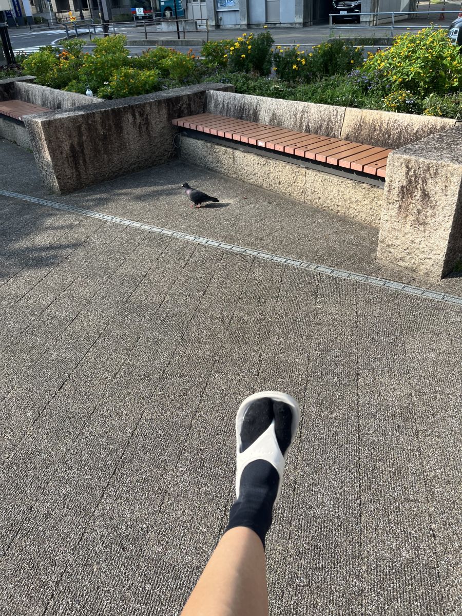 走行画像