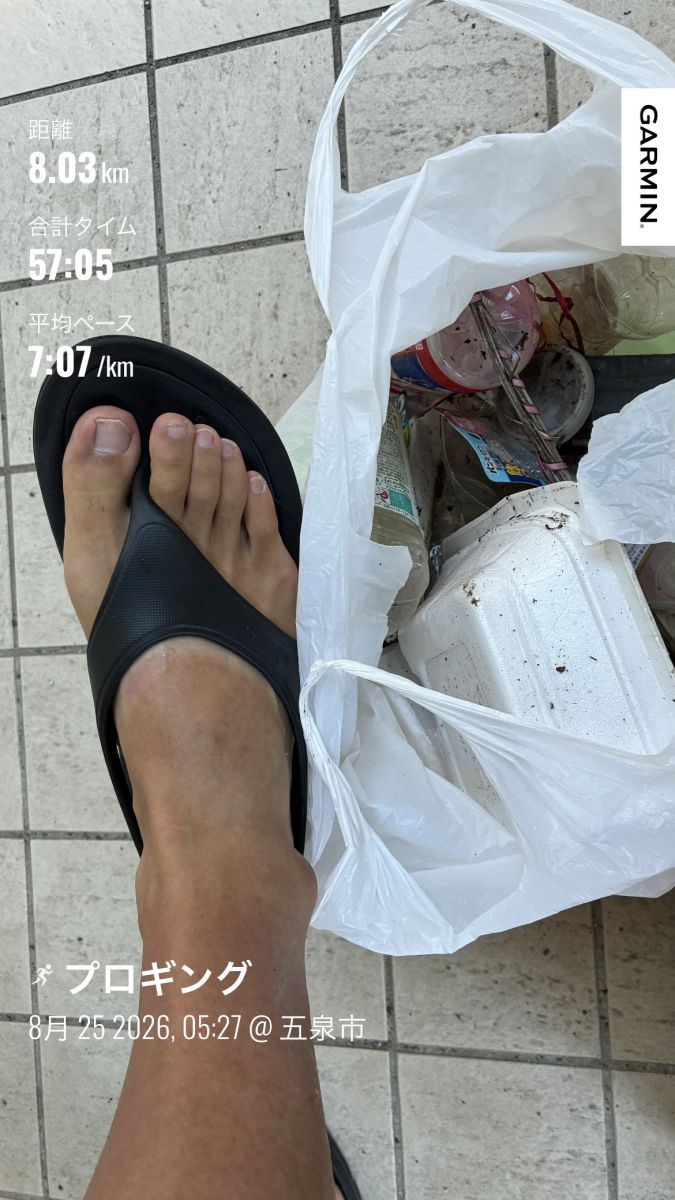 走行画像