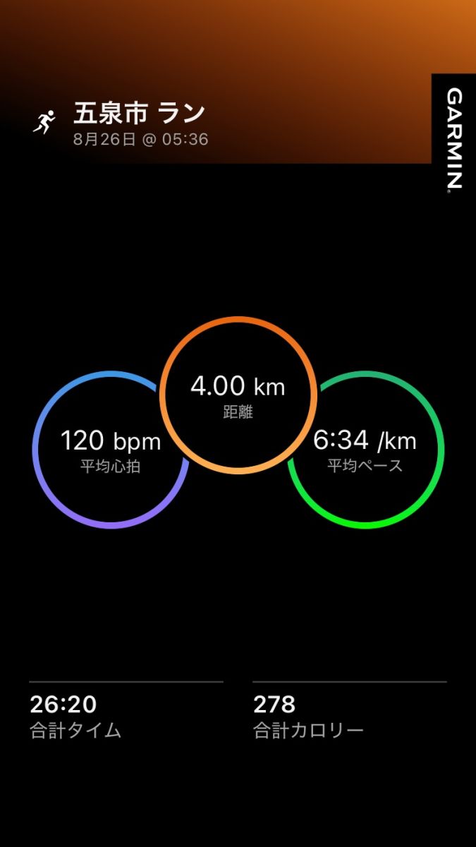 走行画像