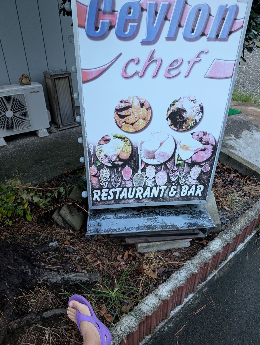 走行画像