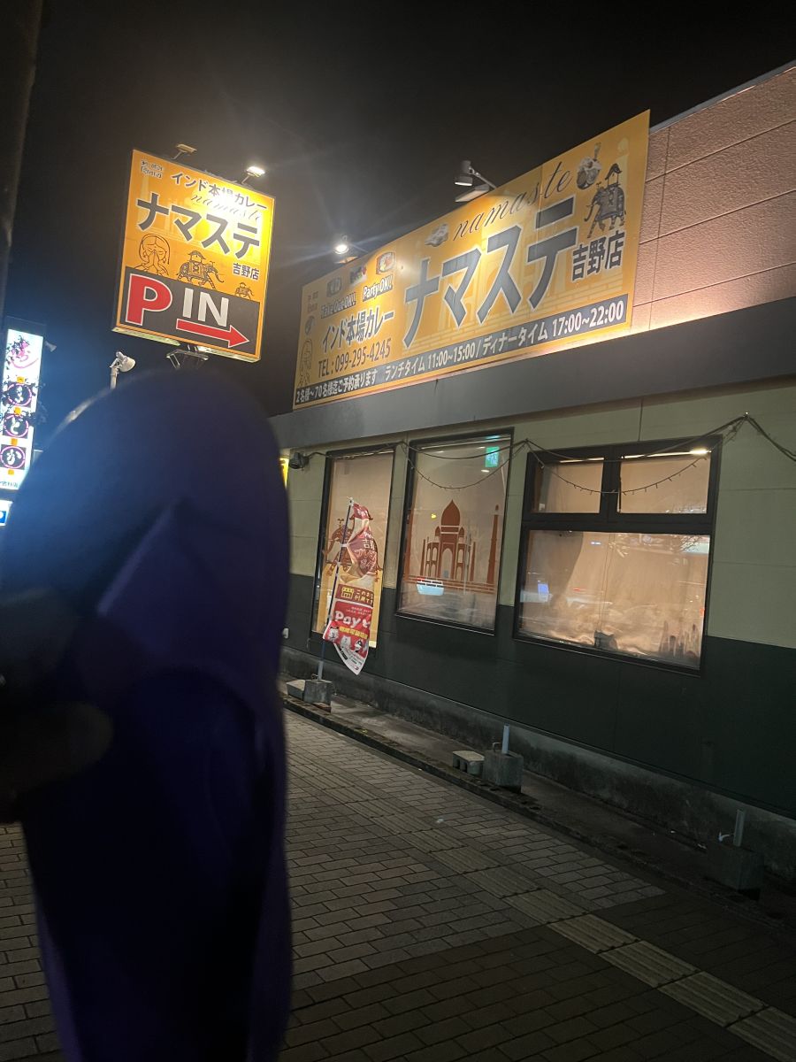 走行画像
