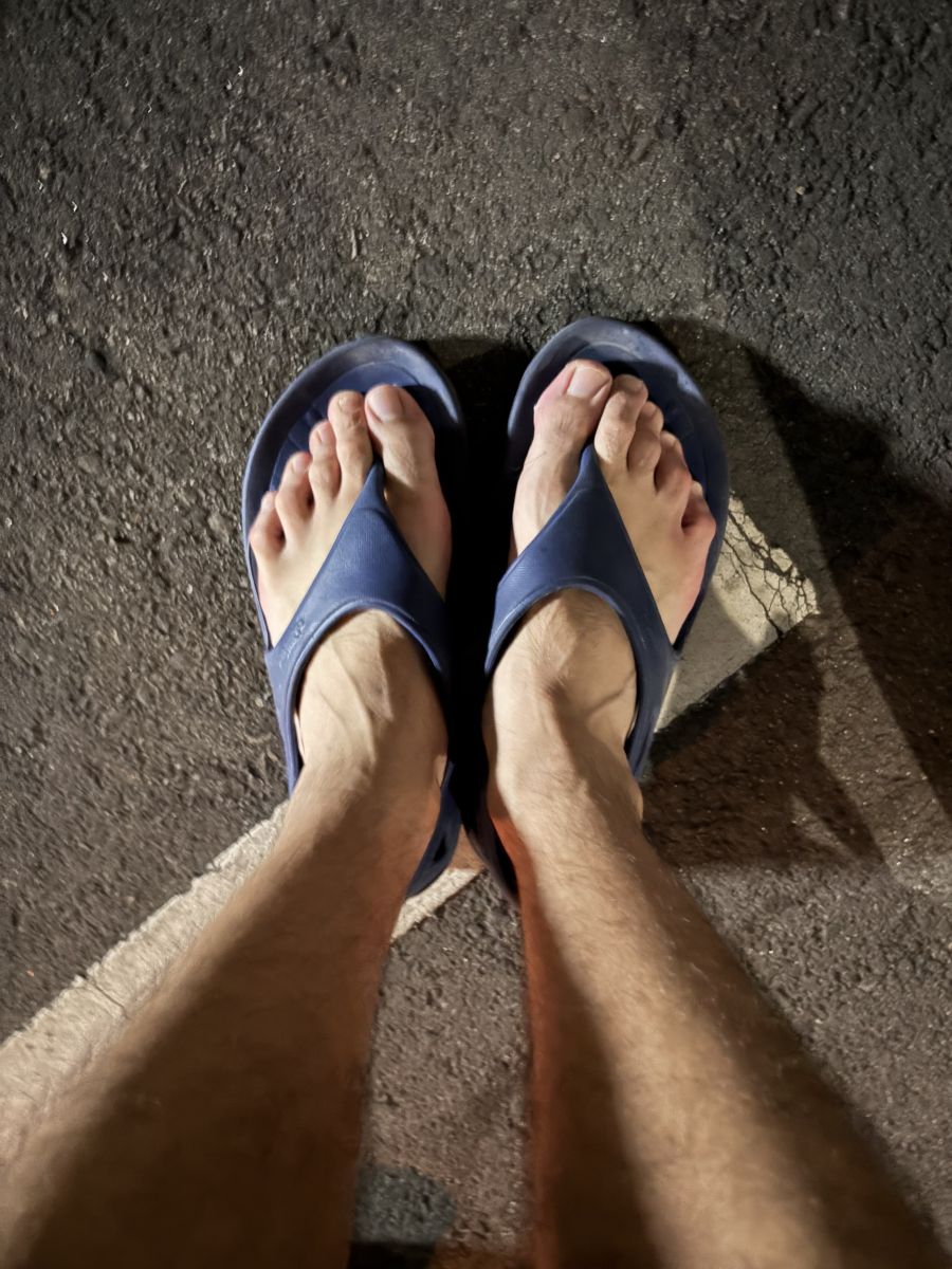 走行画像