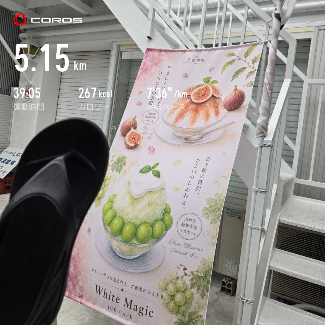 走行画像