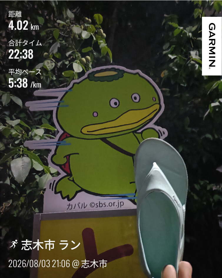 走行画像