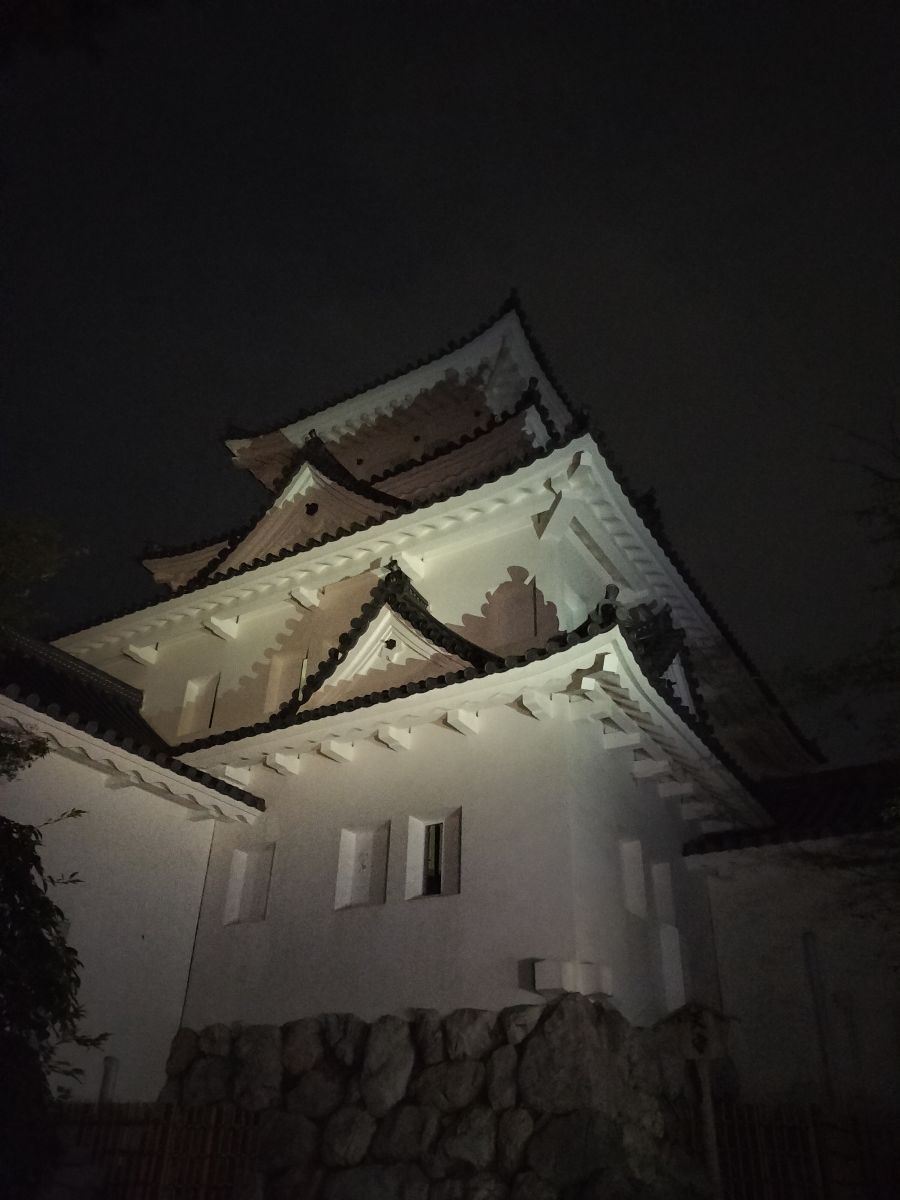 走行画像
