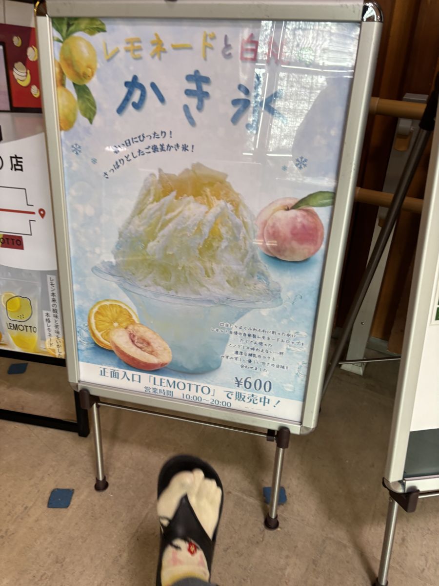 走行画像