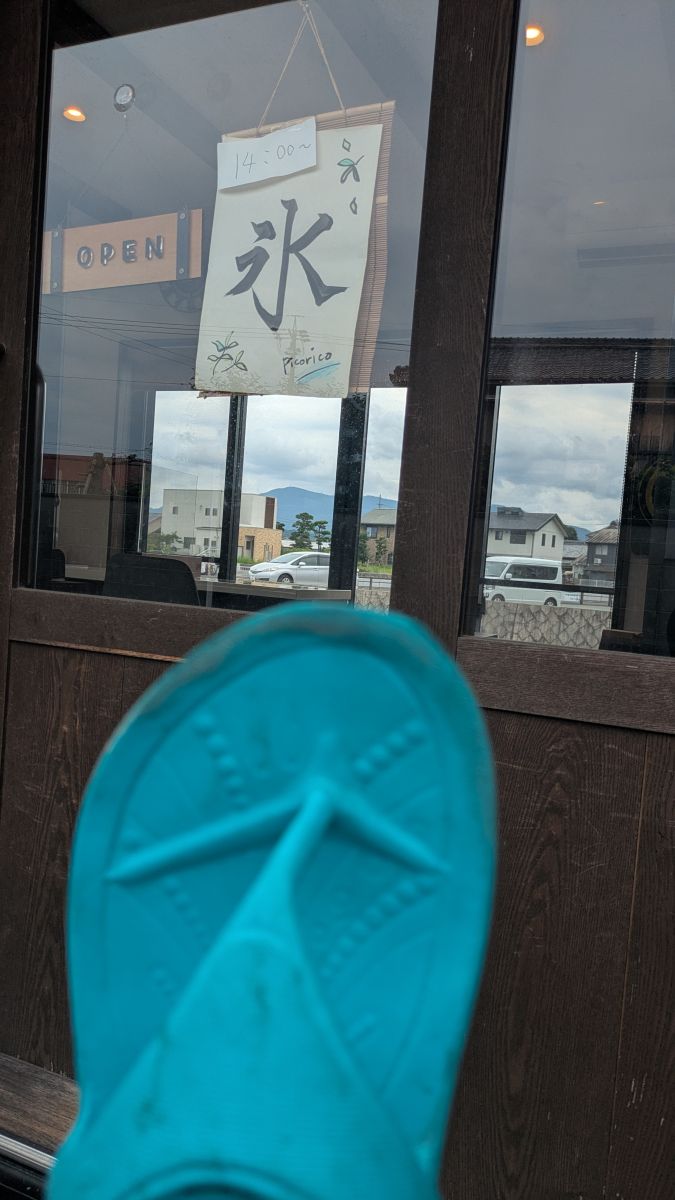 走行画像