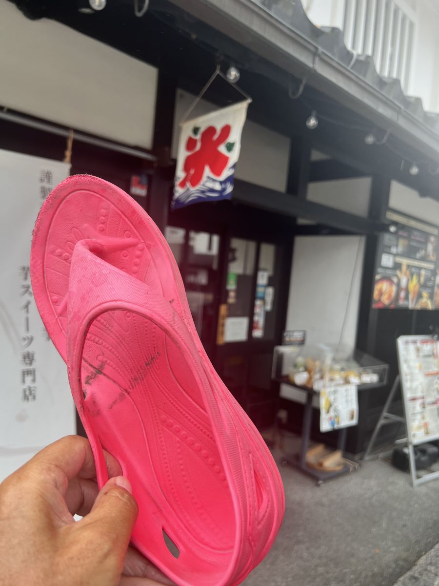 走行画像