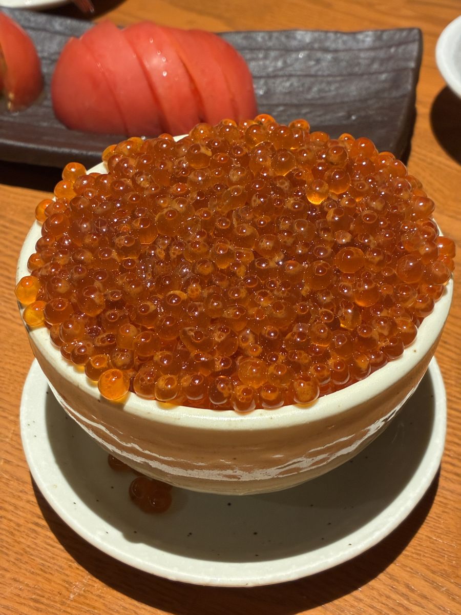 走行画像