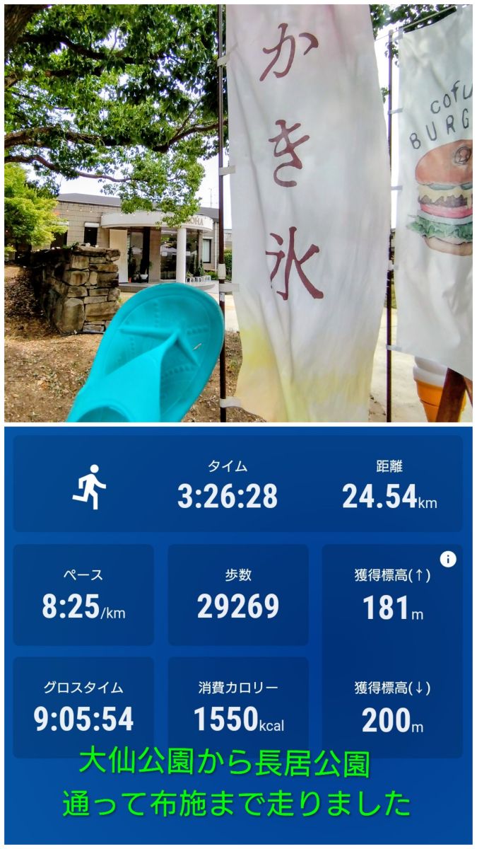 走行画像