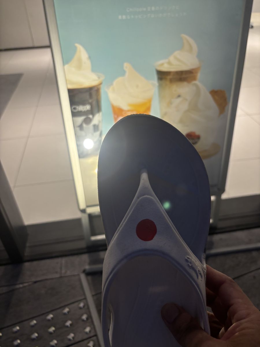 走行画像