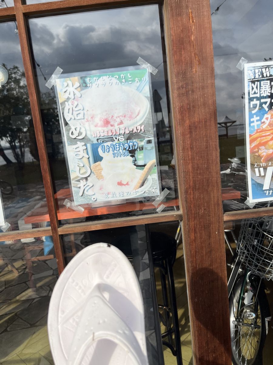 走行画像