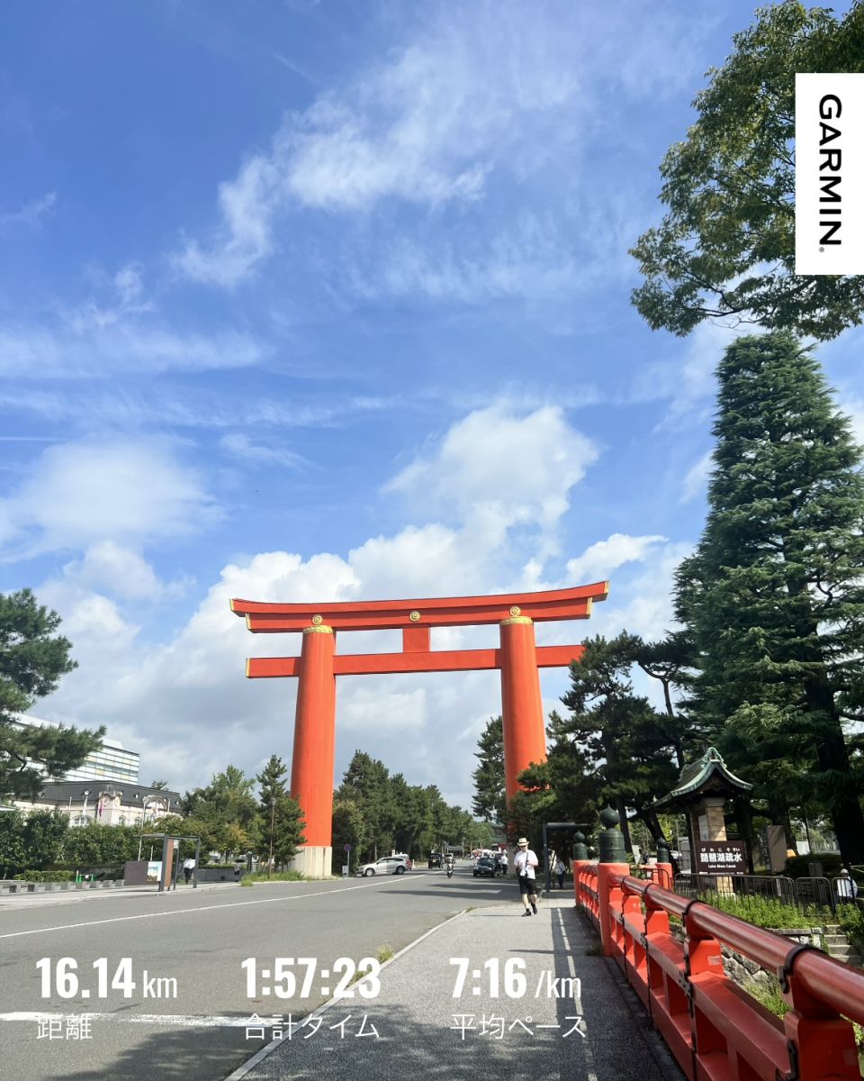 走行画像