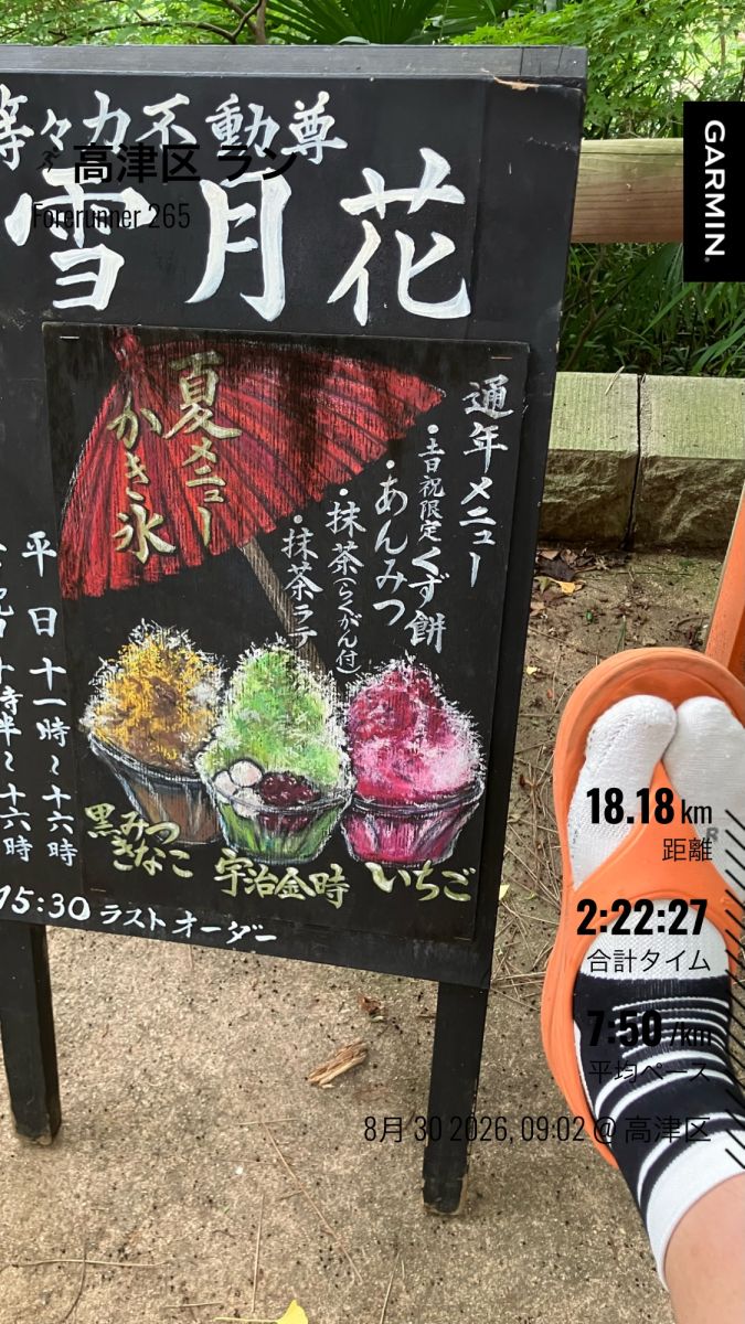 走行画像