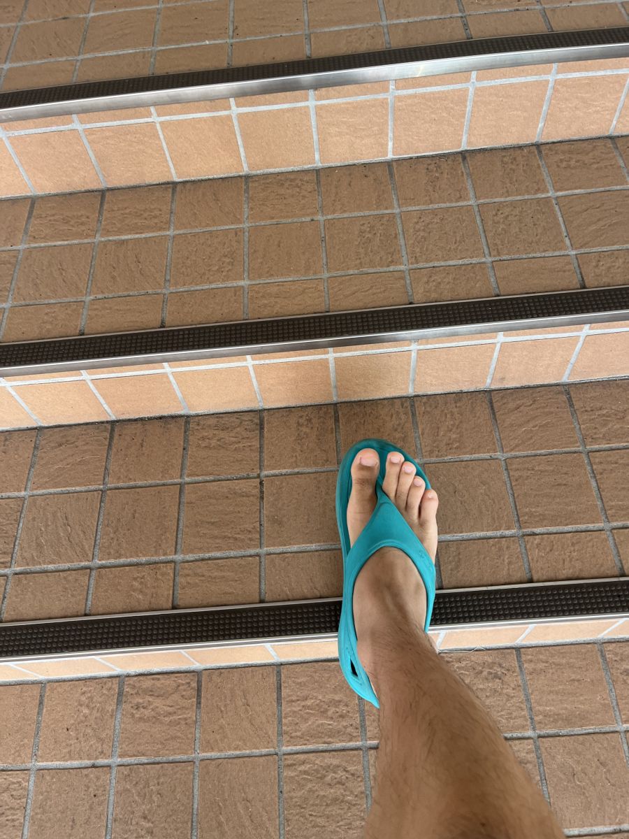 走行画像
