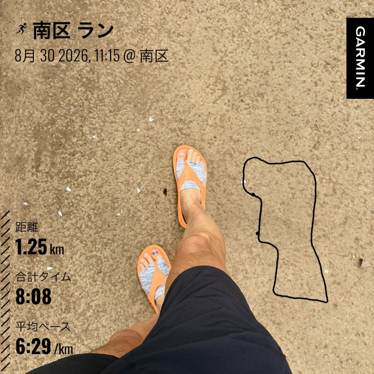 走行画像