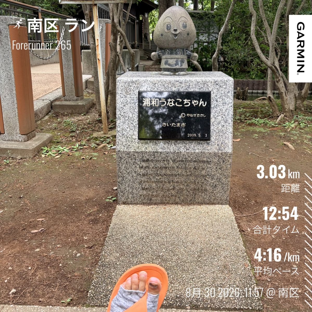 走行画像