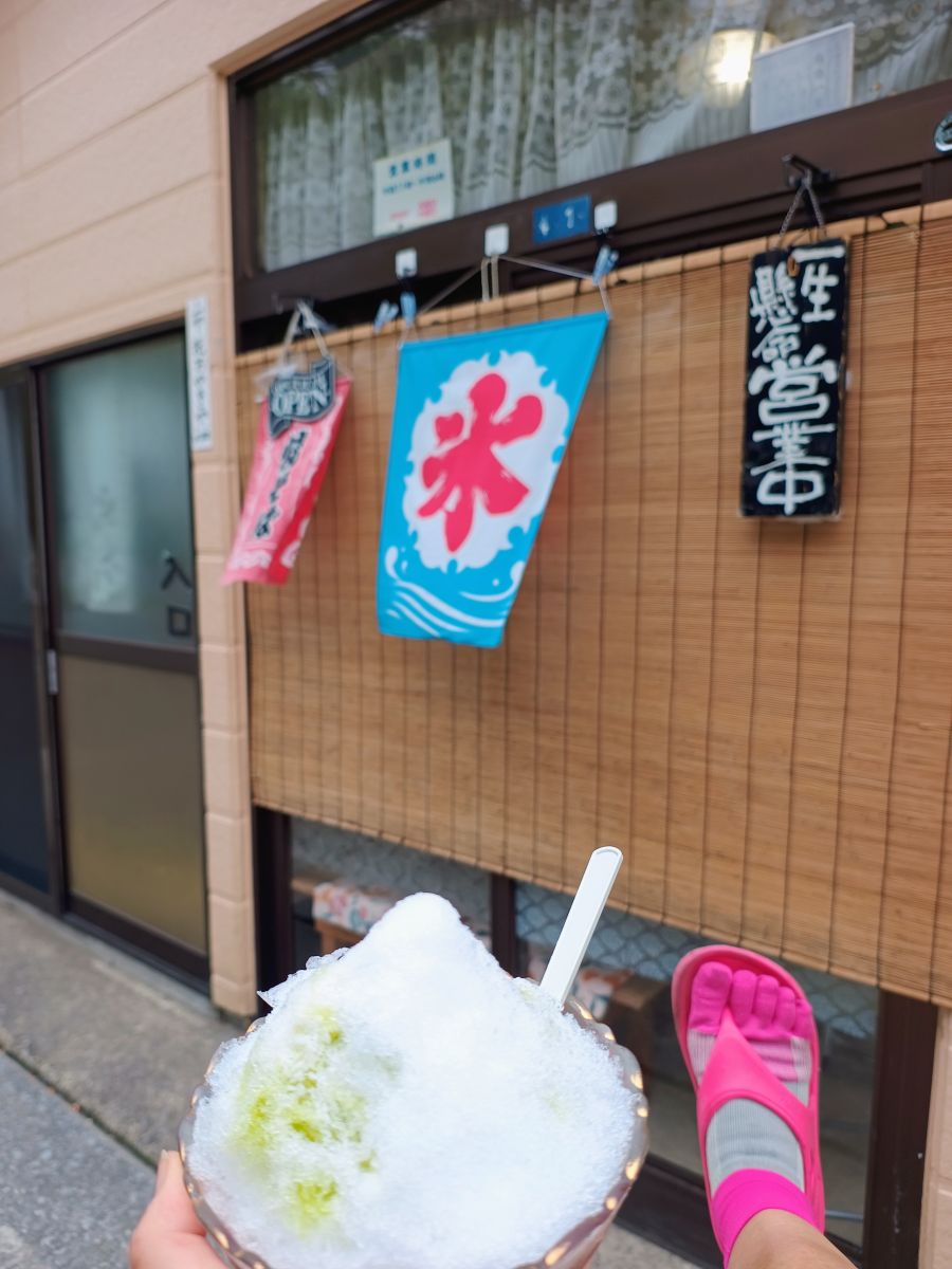 走行画像