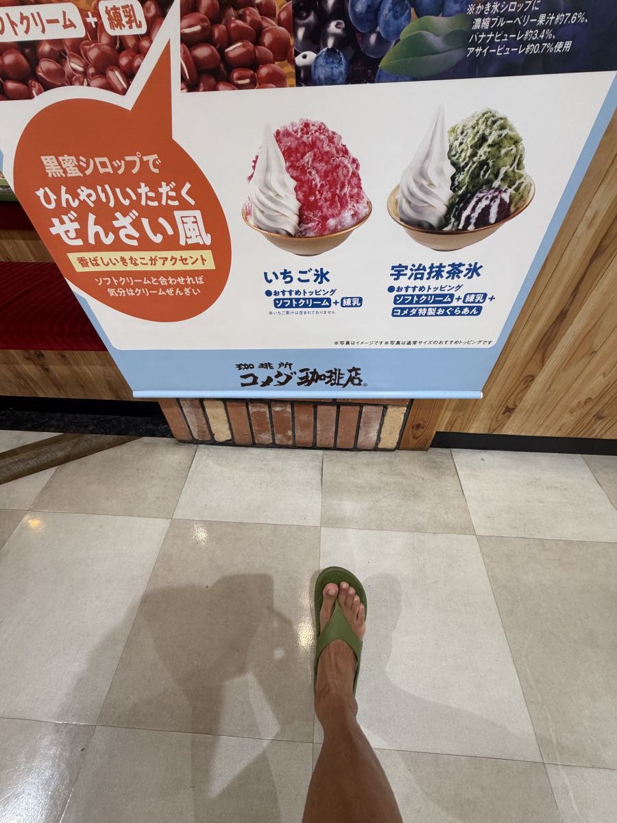 走行画像