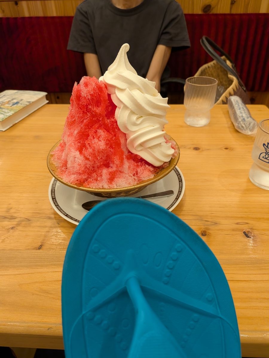 走行画像