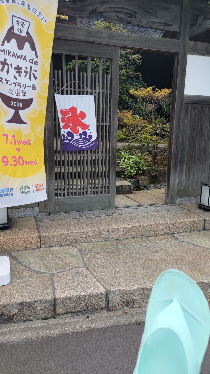 走行画像