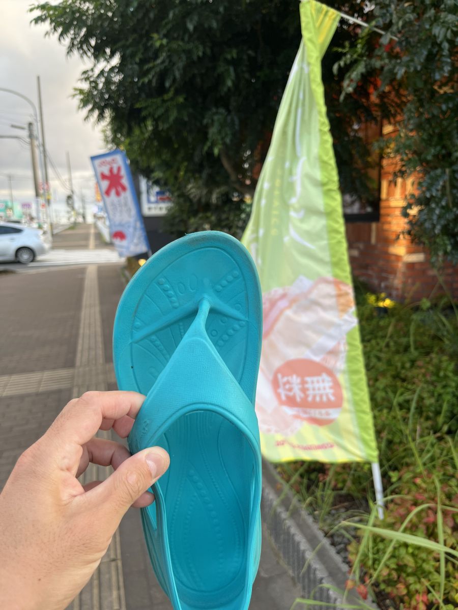 走行画像