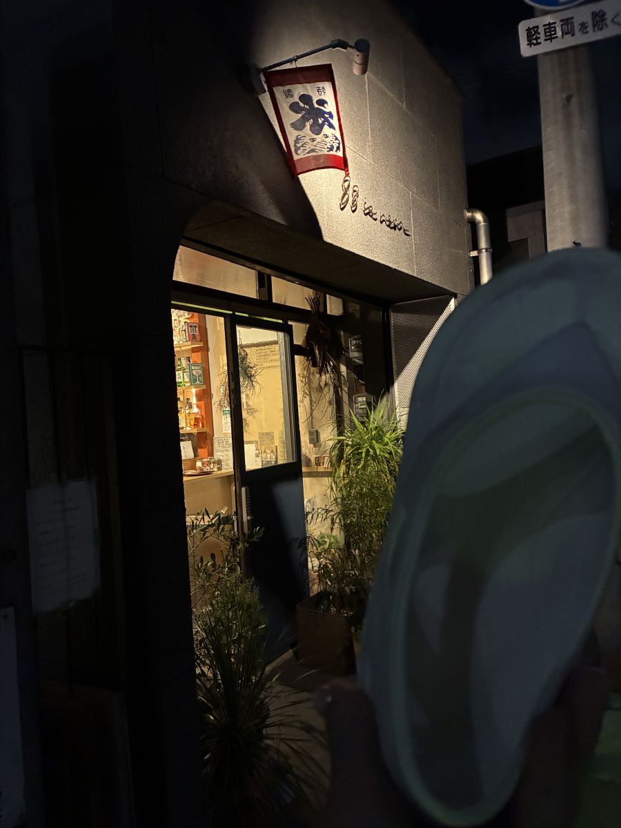 走行画像