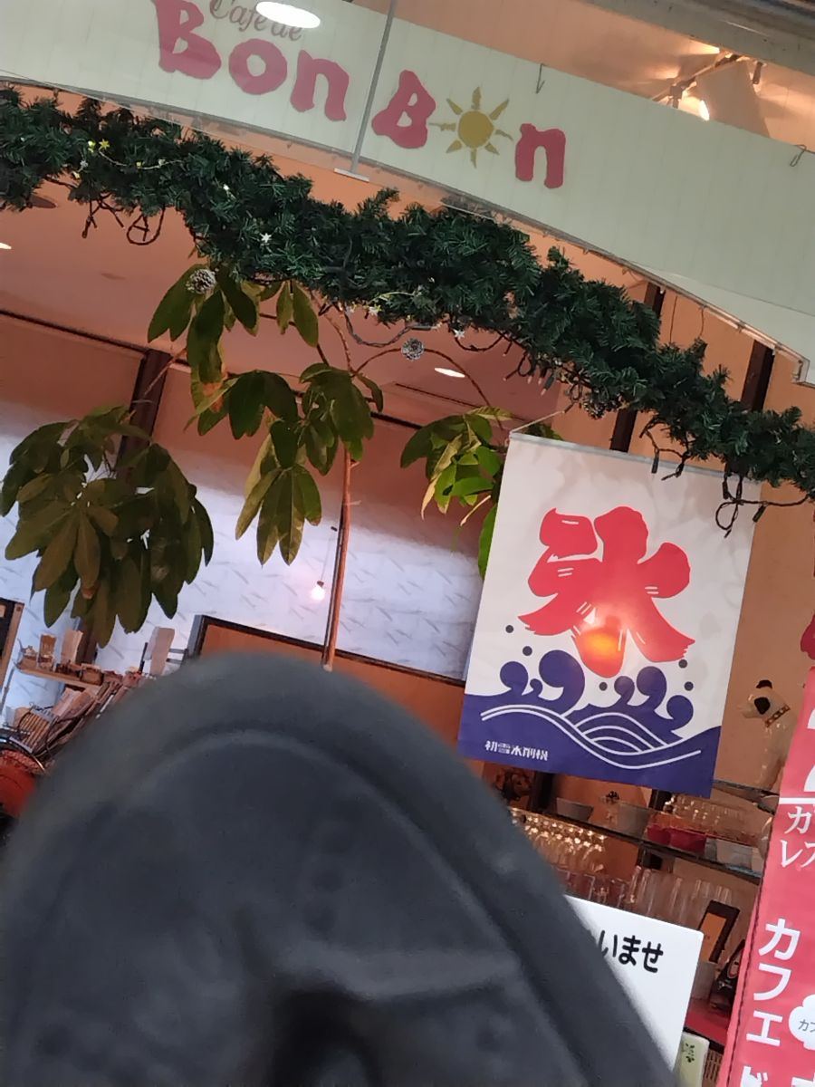 走行画像